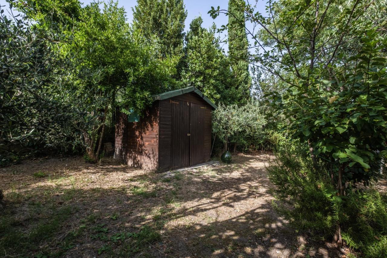 Ferienwohnung La Sosta Del Pellegrino Sorano  Exterior foto